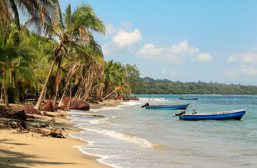 Beautiful beach in Costa Rica (Caribbean Sea) - Powered by Adobe