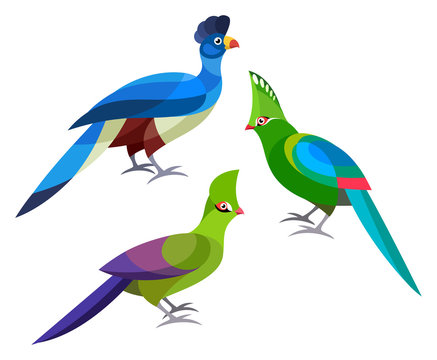 Stylized Birds - Great Blue Turaco, Livingstone's Turaco, Green Turaco