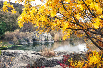 Fototapeta na wymiar Lake in mountains under yellow tree