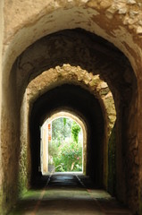 Fototapeta premium Arcadas pasaje en Capri