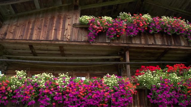 Bauernhaus mit Blumen in den &ouml;sterreichischen Alpen