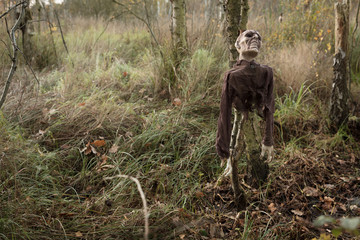 Zombie im Moor