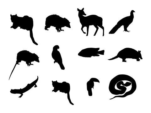 silhouttes animals.