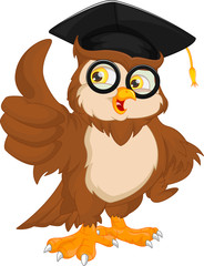 Obraz premium sowa w czapce ukończenia szkoły