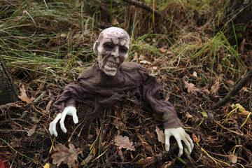 Zombie im Moor