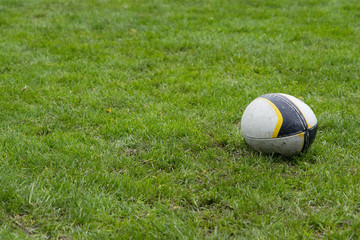 rugby ball lying on the grass