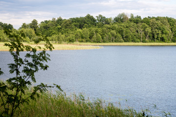 Reflections in the calm lake water