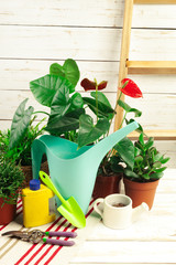 composition of garden tools
