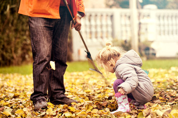 Grandfather is pickin up leaves with granddaughter.