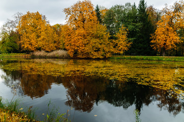 Autumn in Royal Lazienki Park in Warsaw
