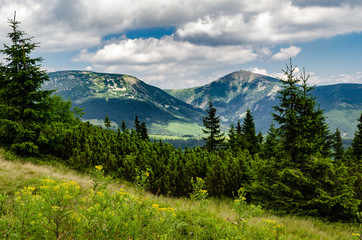 Fototapeta Ridge with the highest peak Snìžka obraz