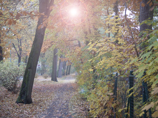 Ein Fußgängerweg im Spätherbst