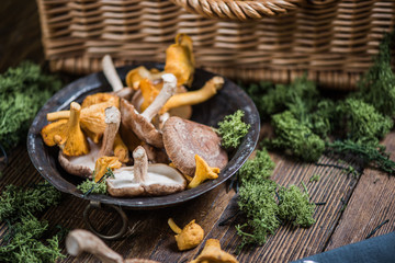Fresh aromatic wild mushrooms