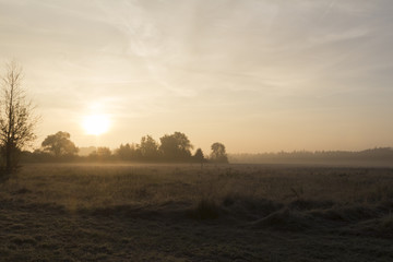 Fototapeta na wymiar Morgennebel über herbstlichen Feldern