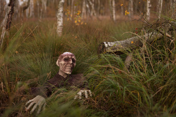 Zombie im Moor
