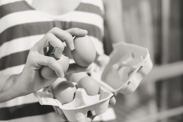 Hands holding shopping box of eggs. Closeup view