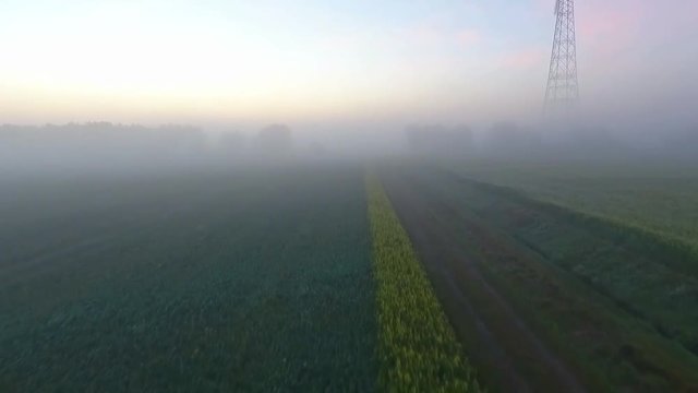 Flug durch nebelige Landschaft, Drohnenvideo