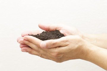 Black soil in woman hands, isolated on white