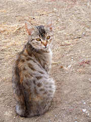 hey! ordan biri bana mı seslendi?