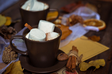 Obraz na płótnie Canvas Cup of hot chocolate, coffee with marshmallow,