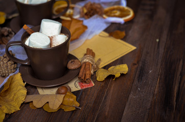 Cup of of hot chocolate, coffee with marshmallow,