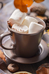 Cup of of hot chocolate, coffee with marshmallow,