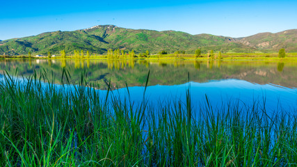 Chuck Lewis Wildlife Area