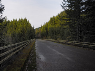 Fototapeta premium Lonely Bridge