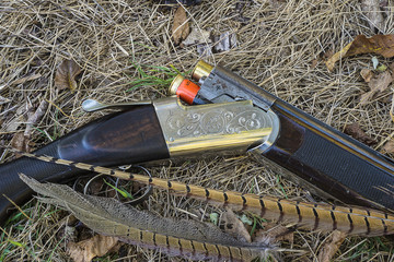 Hunting gun, pheasant feathers on dry grass close up