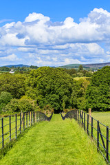 Footpath leading to the forest