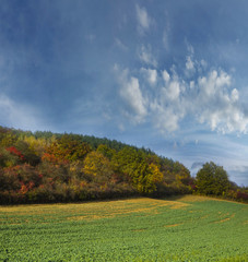 autumnal landscape - Europe, Czech Republic , Moravia, Kyjov