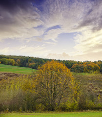 autumnal landscape - Europe, Czech Republic , Moravia, Kyjov