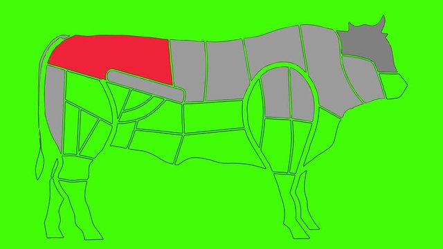 Diagrams Of Cow Body Anatomy for Cuisine Purposes on a Green Screen