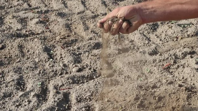 Hand holding a pile of soil above the ground. Hand with soil