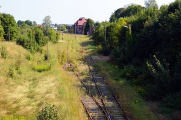 railway in the forest
