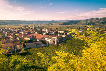 View of Soave (Italy) surrounded by vineyards.