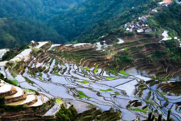 Village houses near rice terraces fields. Amazing abstract texture with sky colorful reflection in...