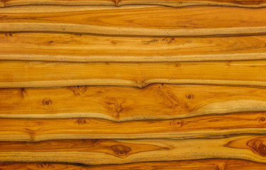 texture of bark wood use as natural background