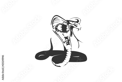 "Vector illustration of snake with an open mouth on white background