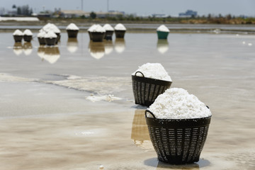 The salt crystallizes out of the ground in salt farm , filled with natural salt from the sea. This...
