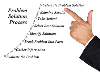 Problem solution process