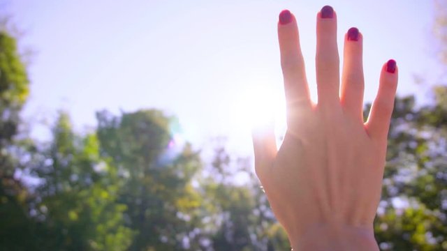 Woman's hand in the sunlight