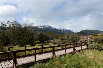 Fototapeta na wymiar The national Park Tierra del Fuego.