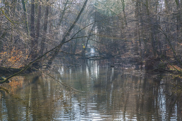 Winter Lake