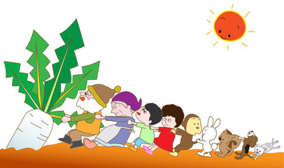 ダイコンの収穫