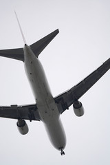 飛行機