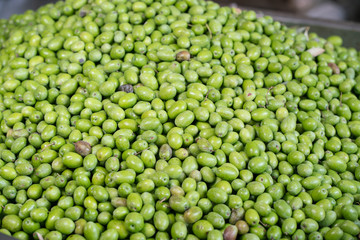Green Olive for oil production