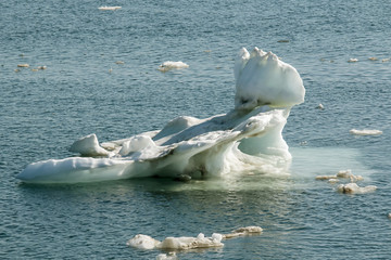 pack ice of the Arctic melts © vasilevich