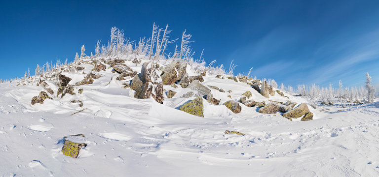 On Mount Mustag/Rocks and dead treees on mount Mustag, Mountain Shoria, Siberia, Russia