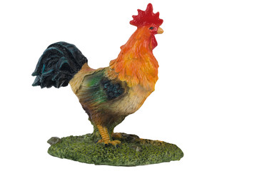 beautiful cock on a white background